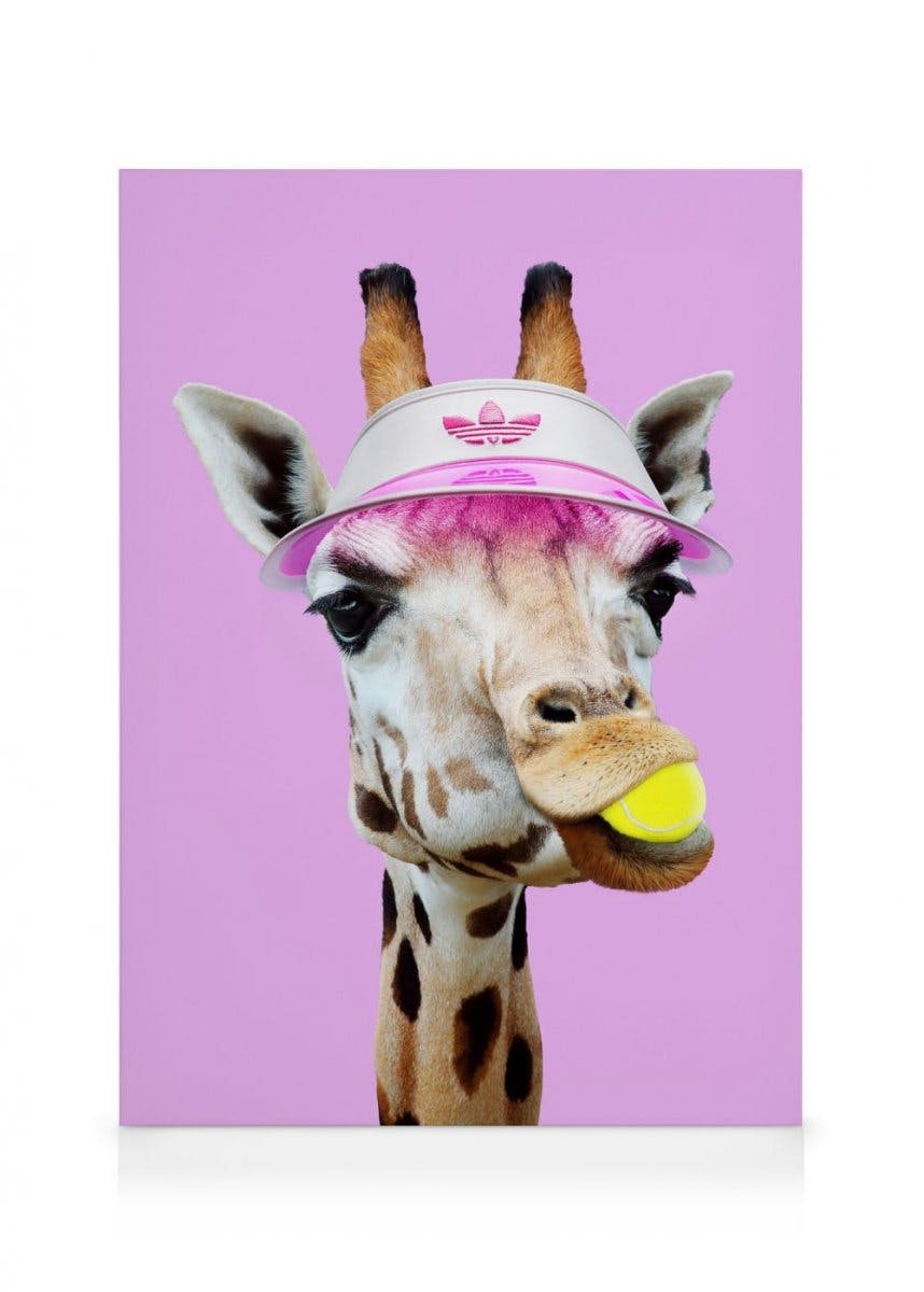 Canvas Prints Jonas Loose - Tennis Giraffe Canvas print (30x40 cm - Black Frame)