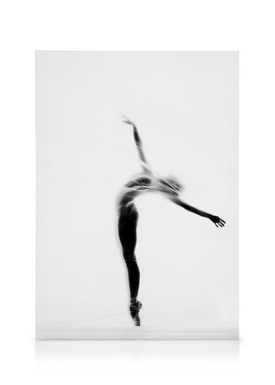 Canvastavlor Secret Dancer Canvastavla (30x40 cm)