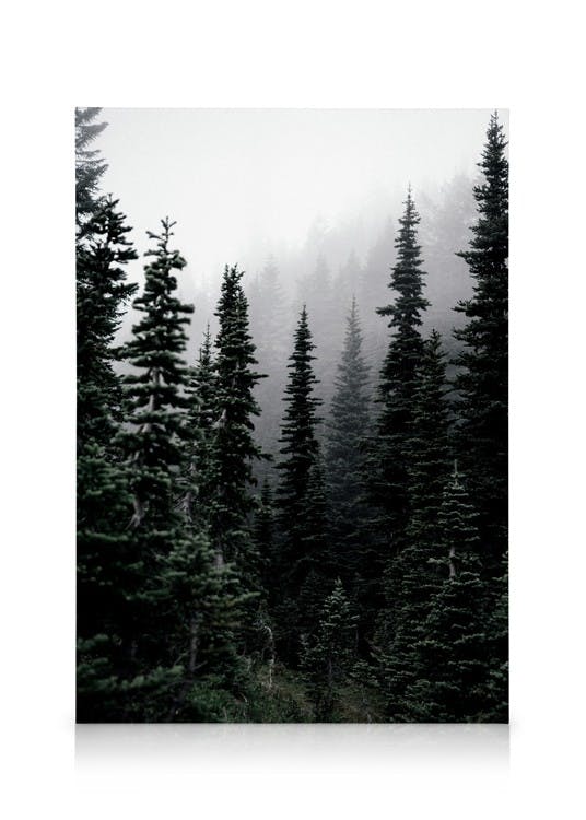 Obrazy na płótnie Foggy Woods Obraz na płótnie (30x40 cm - Ramka dębowa)