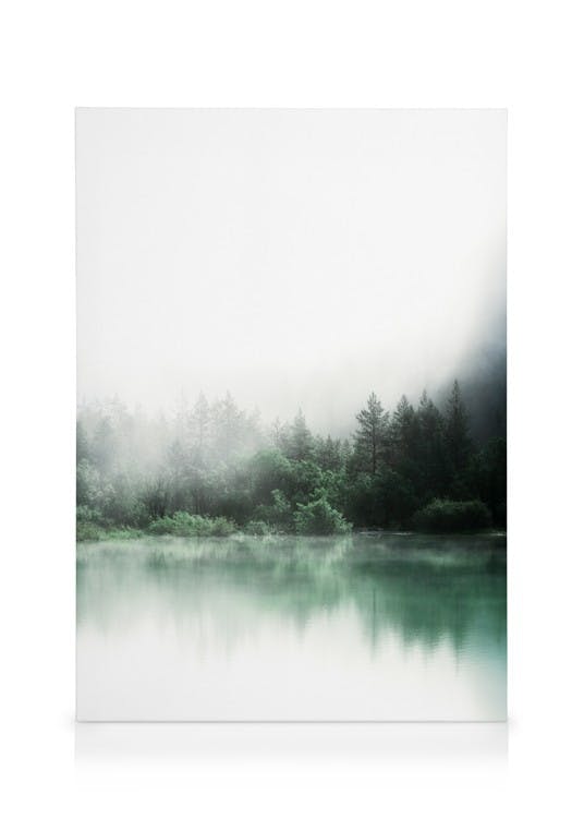 Obrazy na płótnie Forest Reflections Obraz na płótnie (50x70 cm - Czarna ramka)