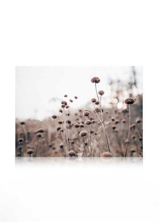 Canvas Prints Monochrome Flowers Canvas print (50x70 cm - Oak Frame)