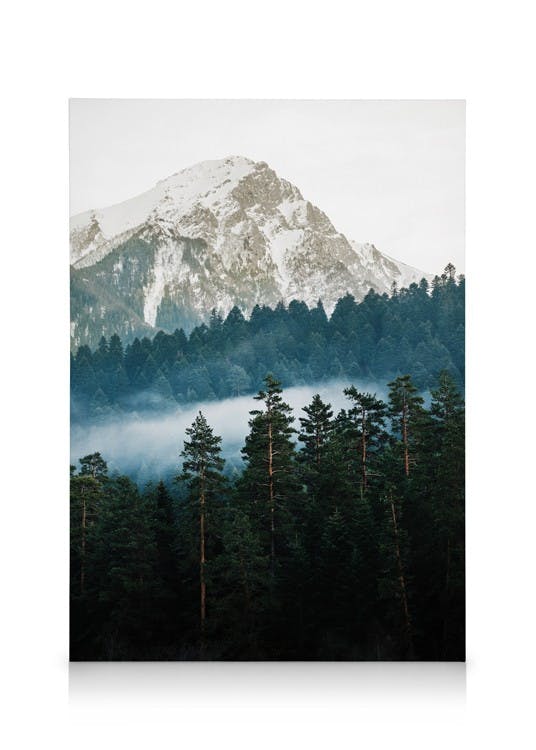 Canvas Prints Mountain and Forest Canvas print (30x40 cm - Black Frame)