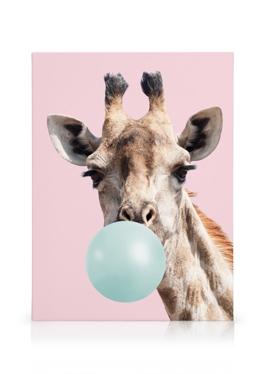 bekennen Geweldig Zin Bubblegum Giraffe Canvas - Giraffe with bubble gum - desenio.com