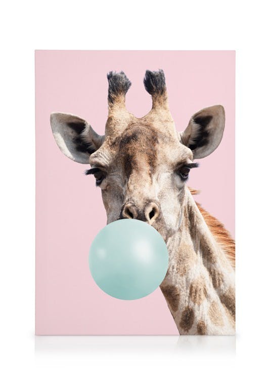 Canvas Prints Bubblegum Giraffe Canvas print (50x70 cm - Oak Frame)