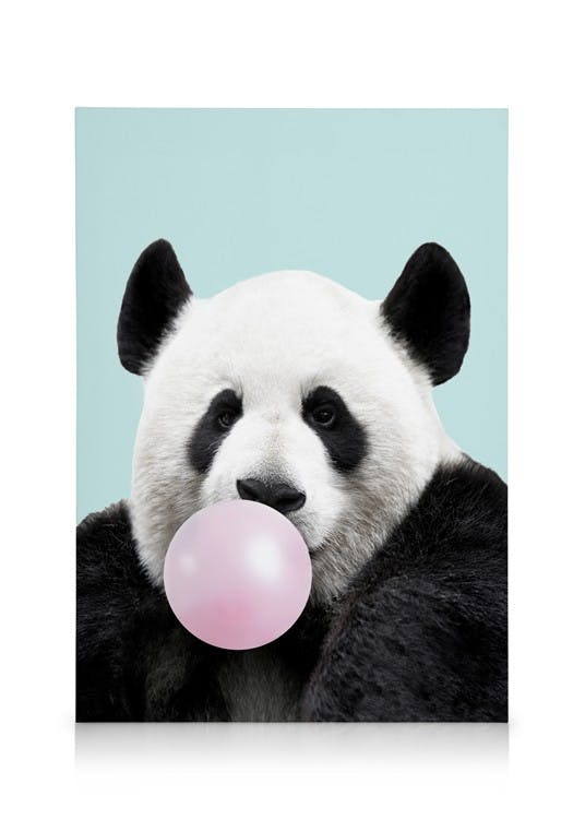 Bubblegum Panda Obraz na plátne (30x40 cm)