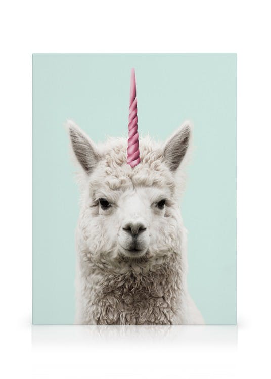 Canvas Prints Lamacorn Canvas print (30x40 cm)