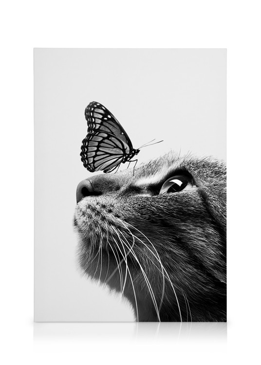 Butterfly Cat Kanvaasi