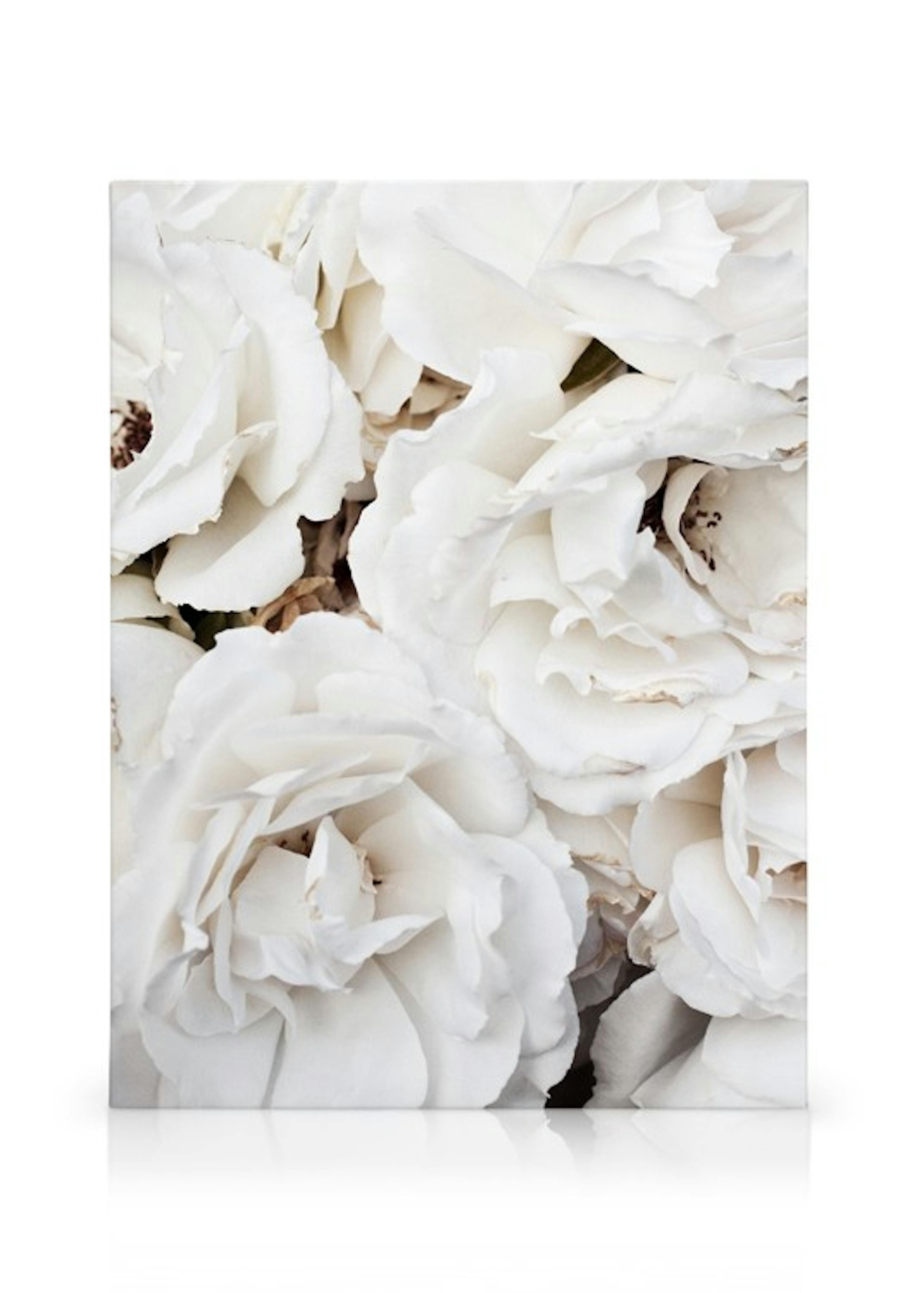 Product image: 1