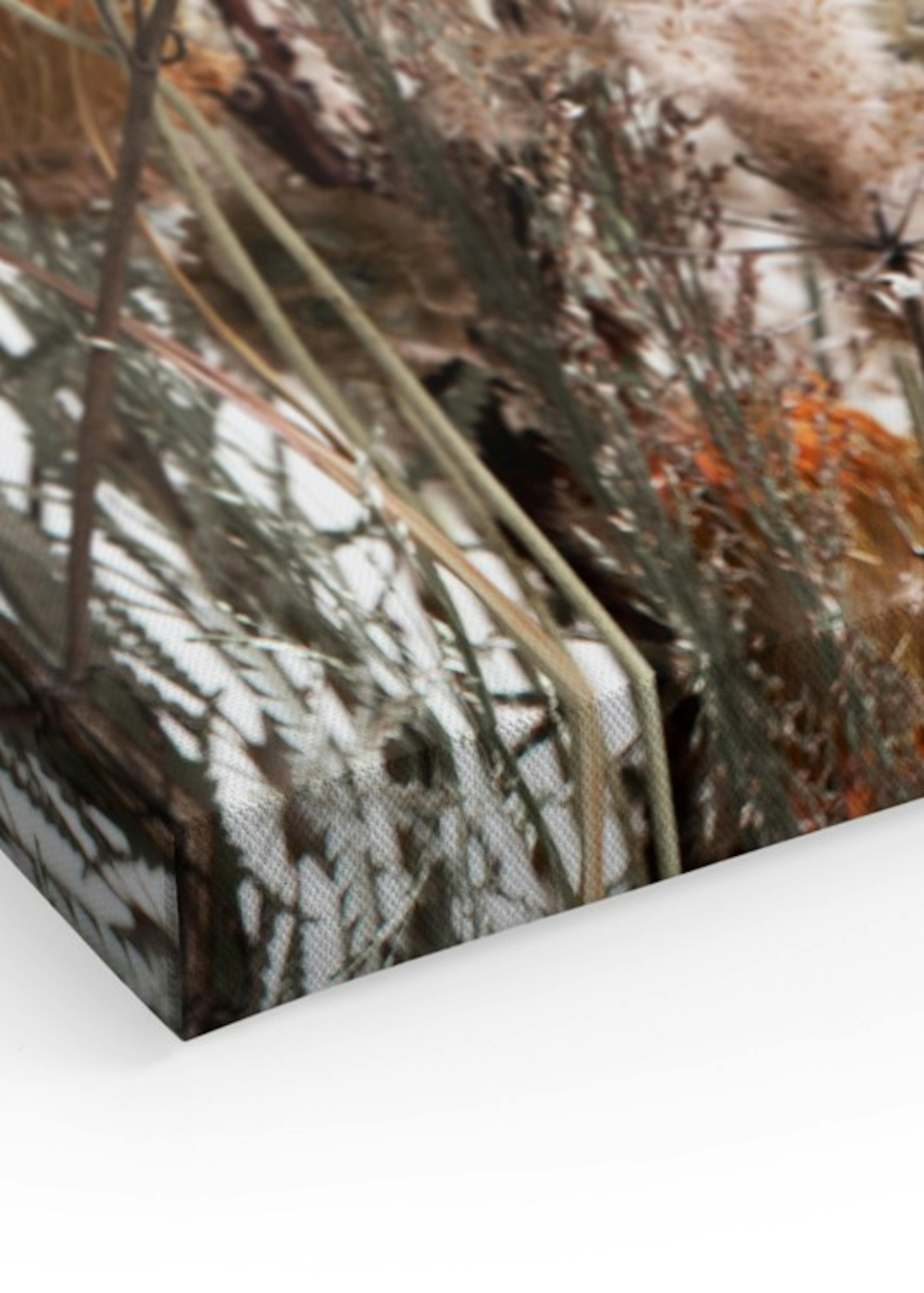 Product image: 3