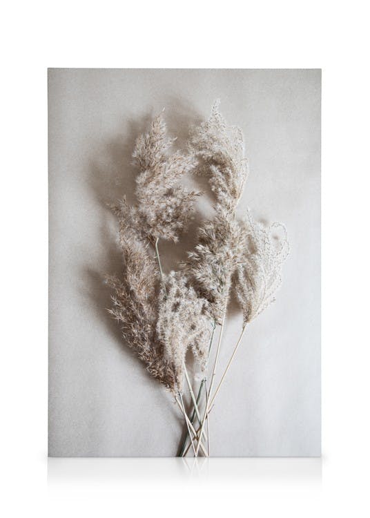 Canvas Schilderijen Bouquet of Autumn Reeds Canvas (30x40 cm)