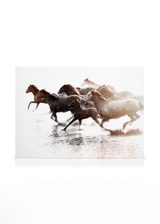 Obrazy na płótnie Running Horses Obraz na płótnie (50x70 cm - Ramka dębowa)