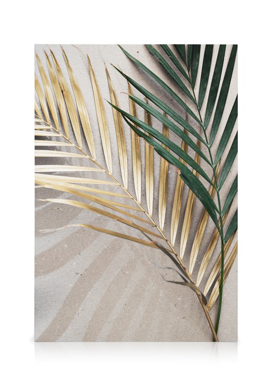 Golden leaves Canvas Palm leaves