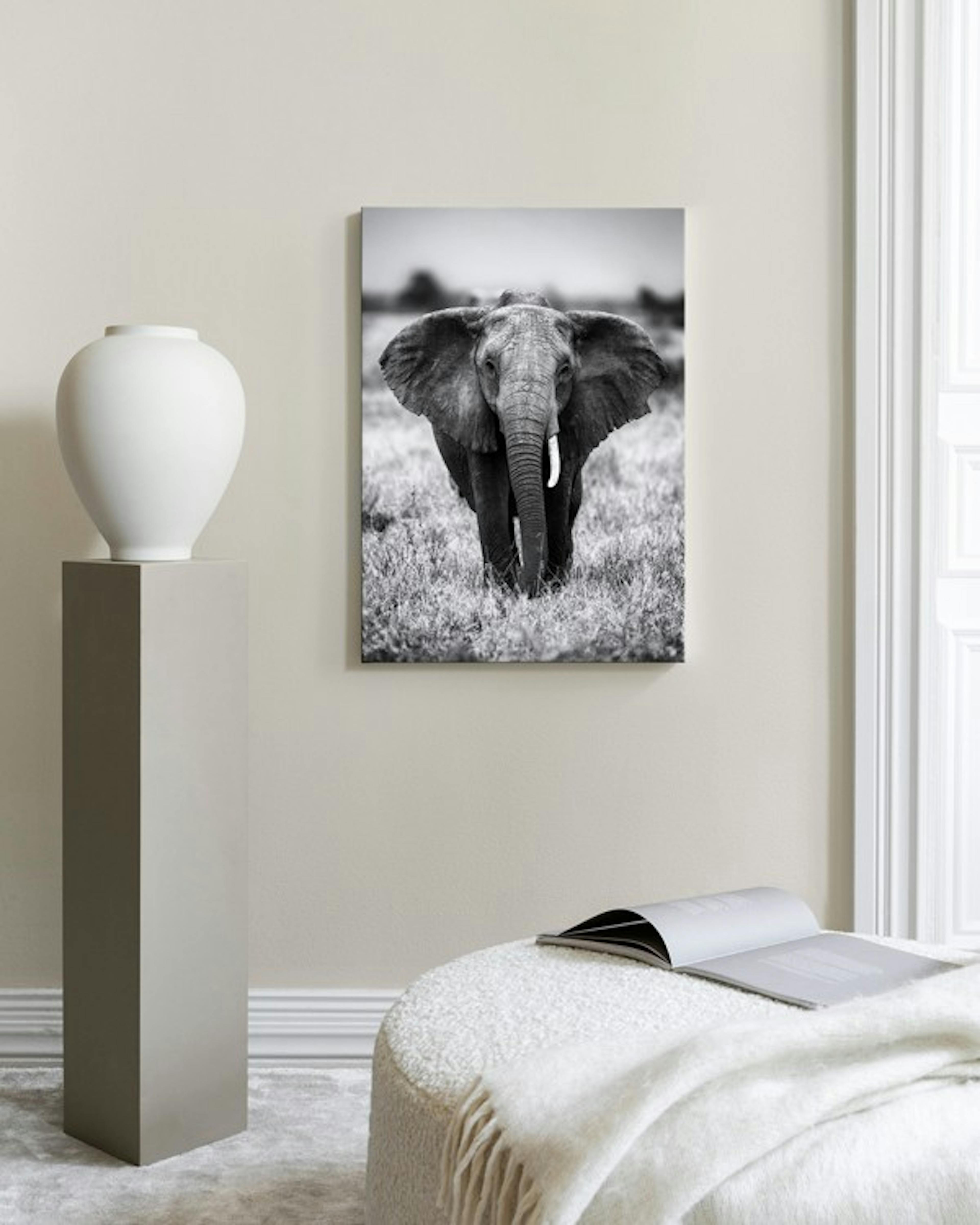 Product image: 2