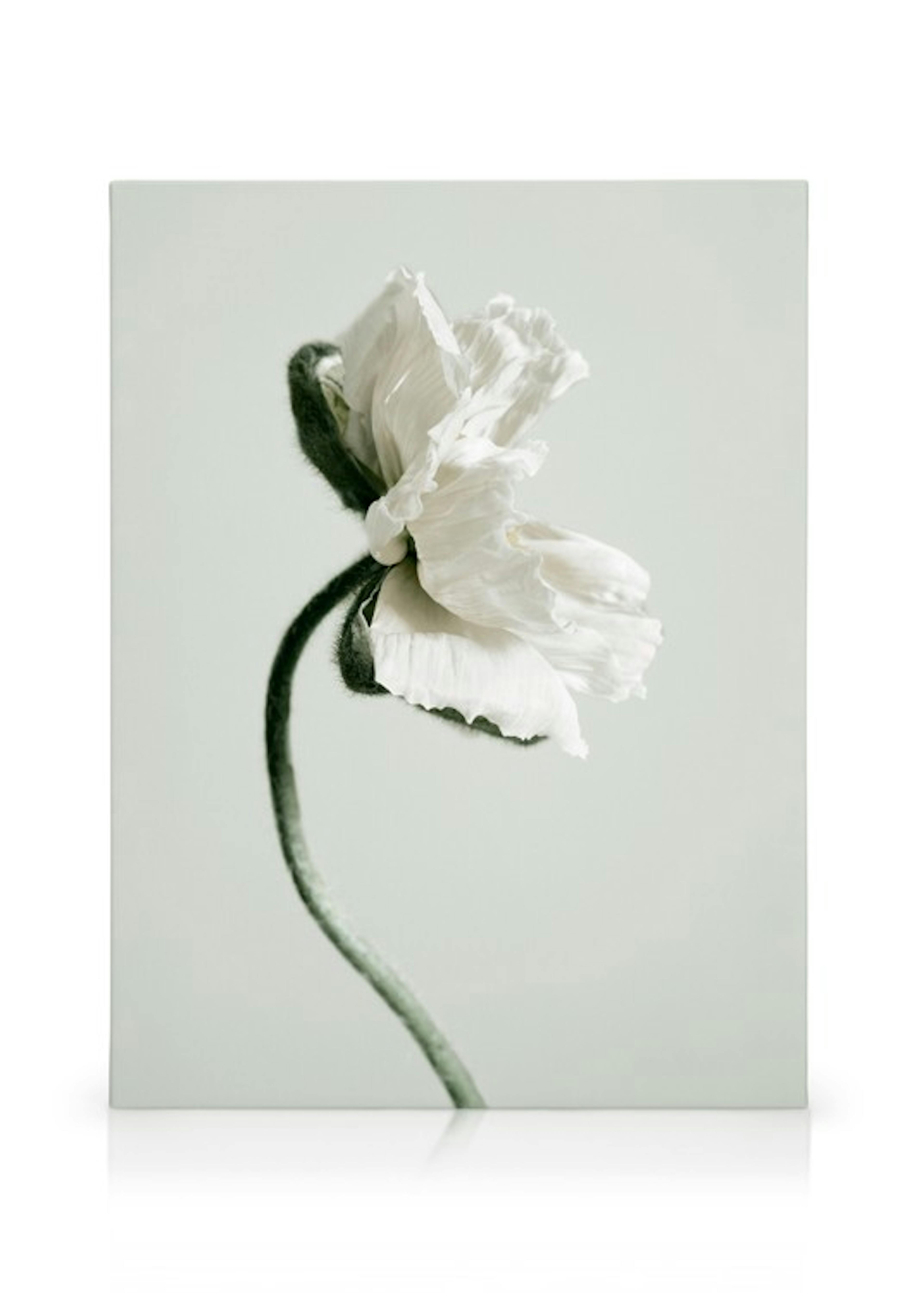 Product image: 1