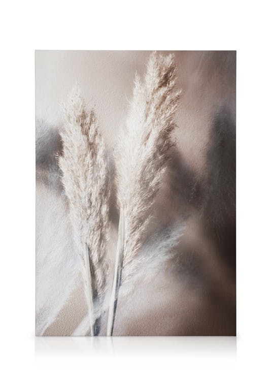 Leinwandbilder Abstract Reeds No1 Leinwandbild (30x40 cm - Holzrahmen schwarz)