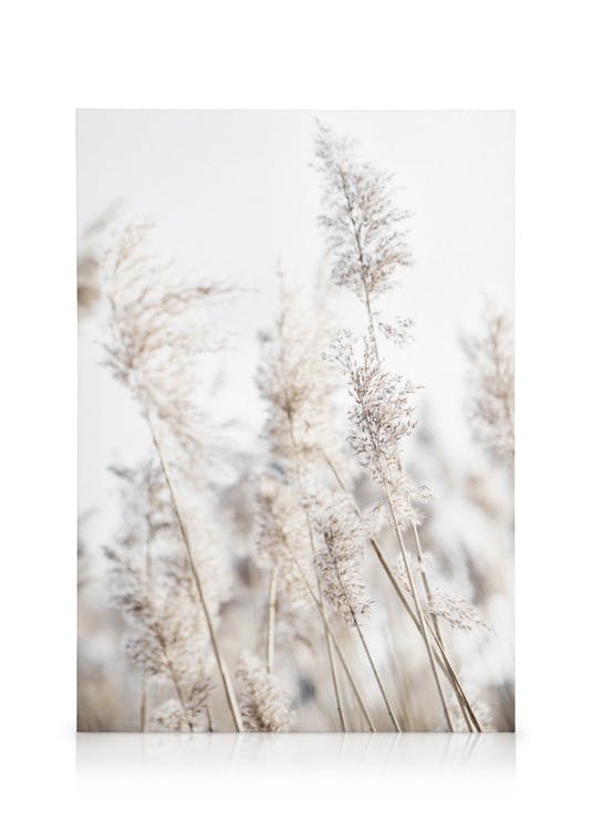In the Reeds No2 Canvas (50x70 cm - Fotokaders Eiken)