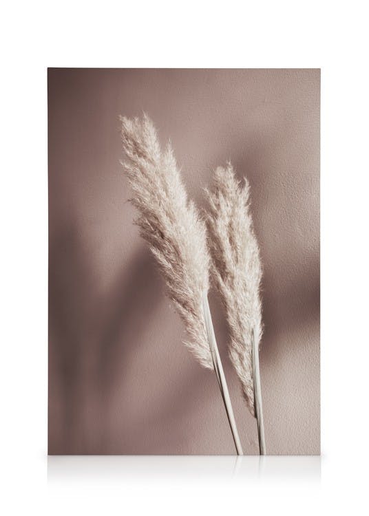 Canvastavlor Beige Reeds No2 Canvastavla (30x40 cm)