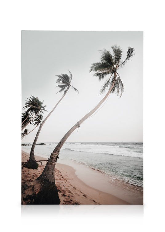 Sri Lanka Palms Tableau sur toile (50x70 cm) - Plages