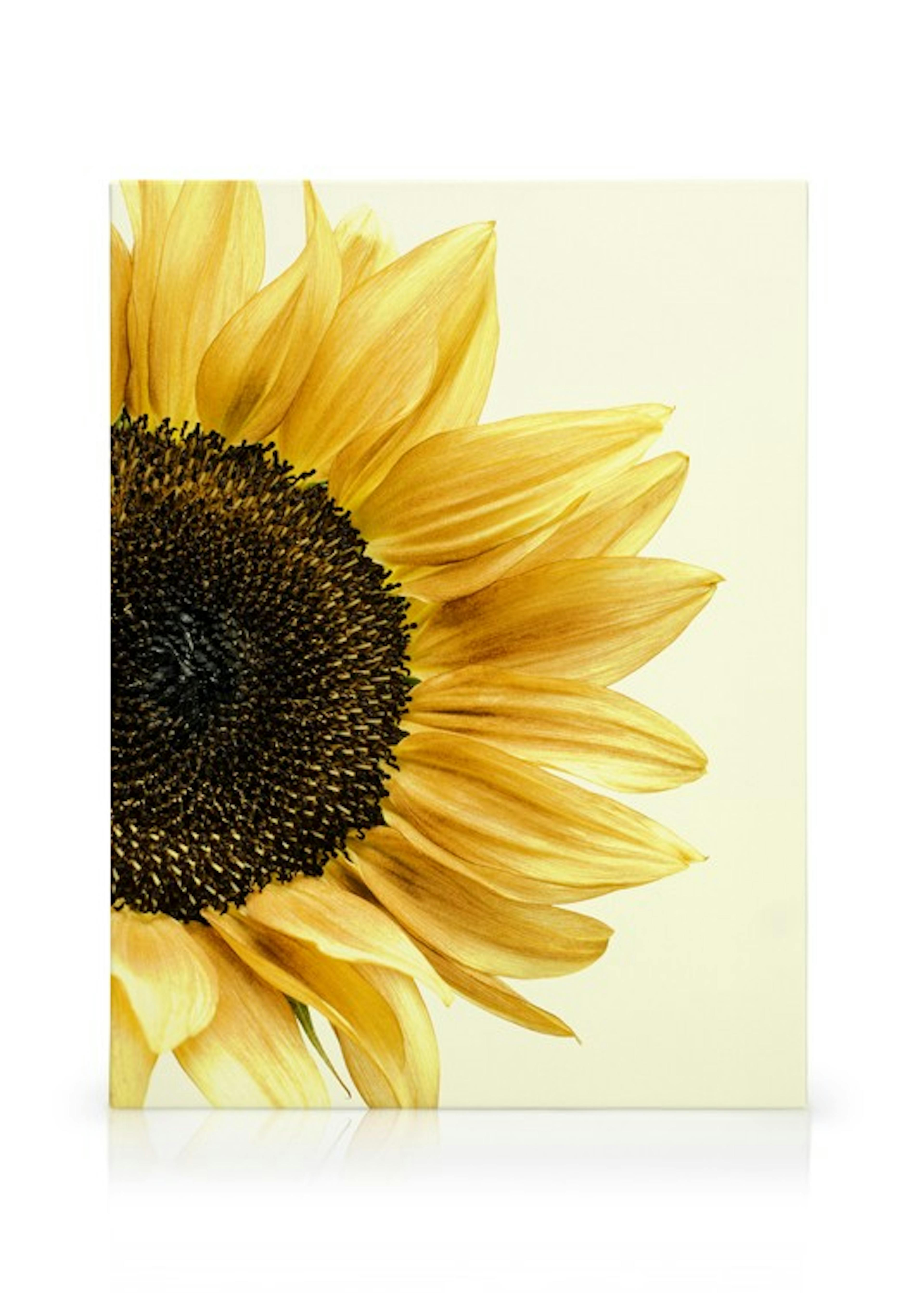 Product image: 1
