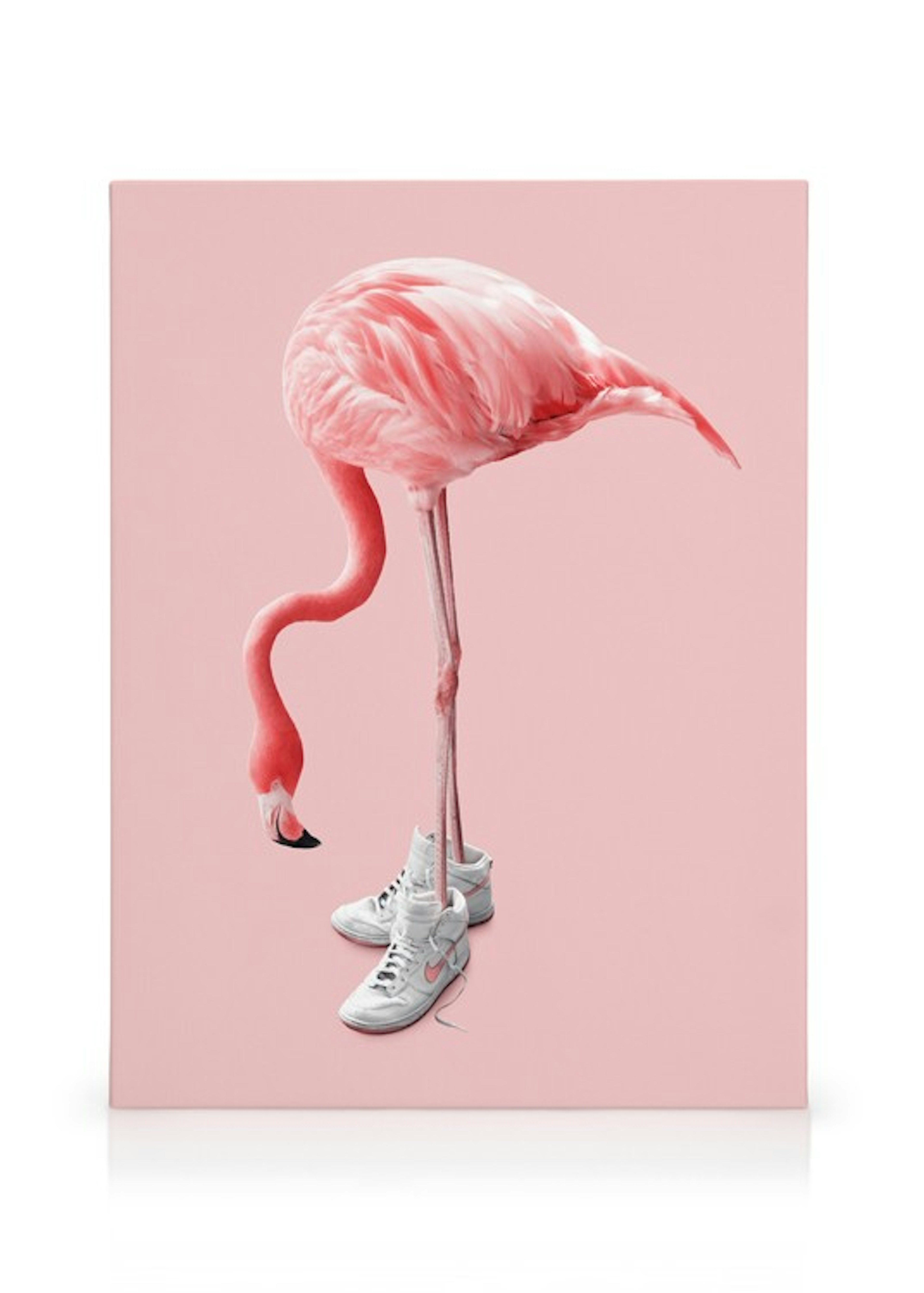 Product image: 1
