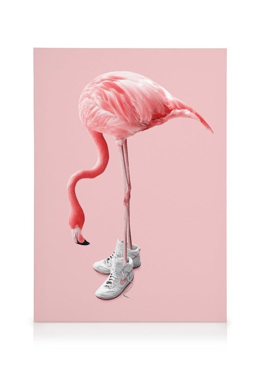 Canvas Prints Jonas Loose - Sneaker Flamingo Canvas print (50x70 cm)