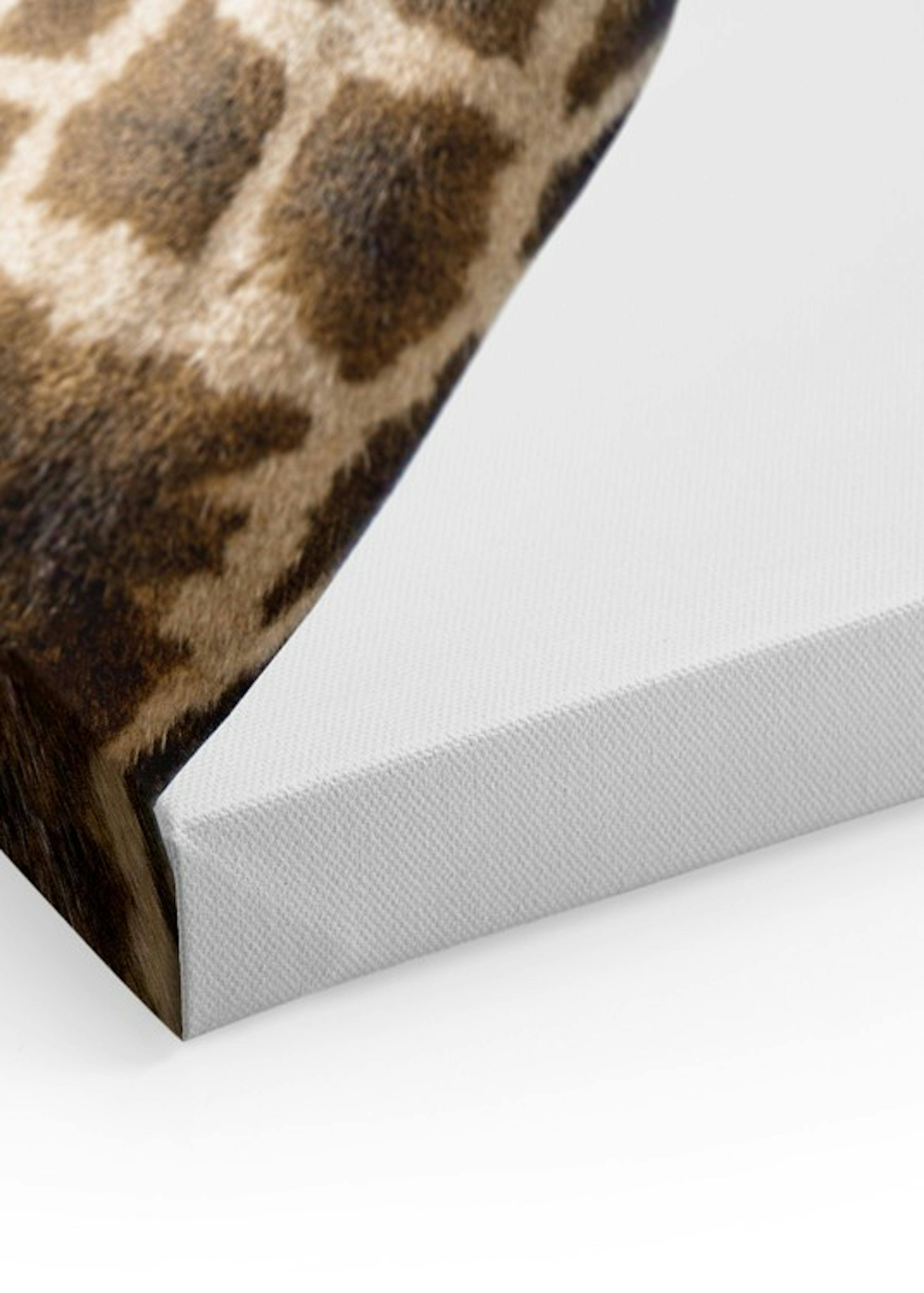 Product image: 3