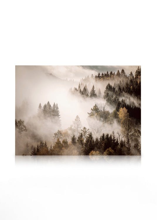 Canvas Prints Misty Autumn Forest Canvas print (50x70 cm - Oak Frame)