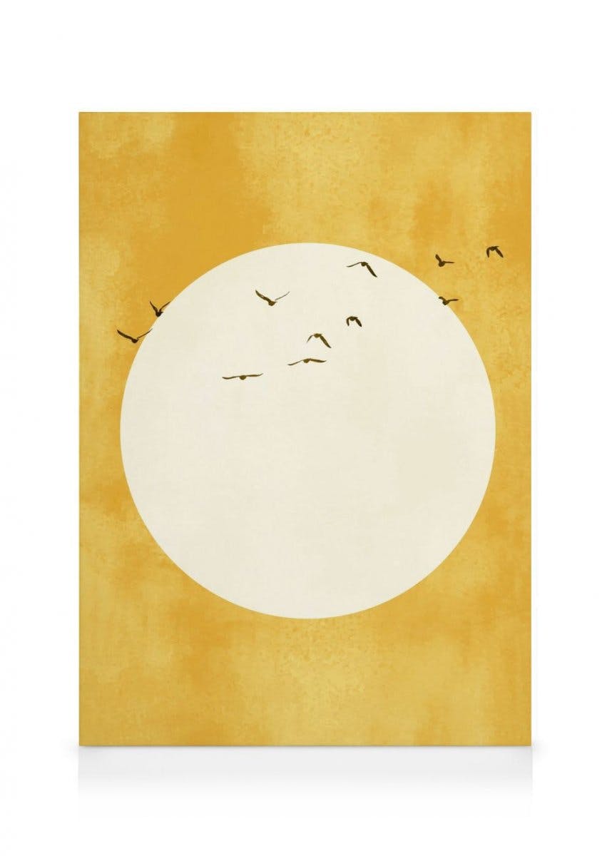Canvas Prints Boris Draschoff / Kubistika - Eternal Sunshine Canvas print (50x70 cm - Black Frame)