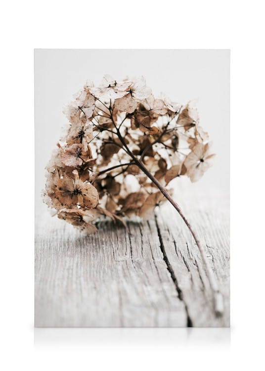 Hydrangea Twig Stampa su Tela (30x40 cm - Cornice in nero)- Fiori