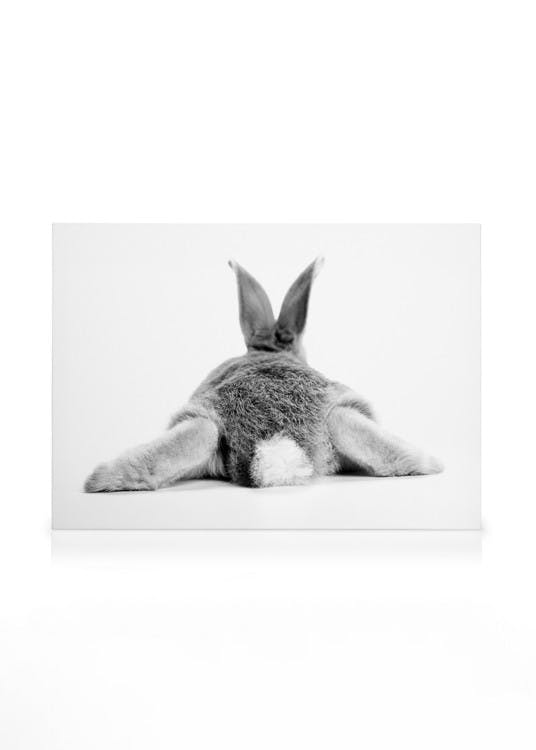 Canvas Schilderijen Bunny Behind Canvas (50x70 cm - Fotolijst Eiken)