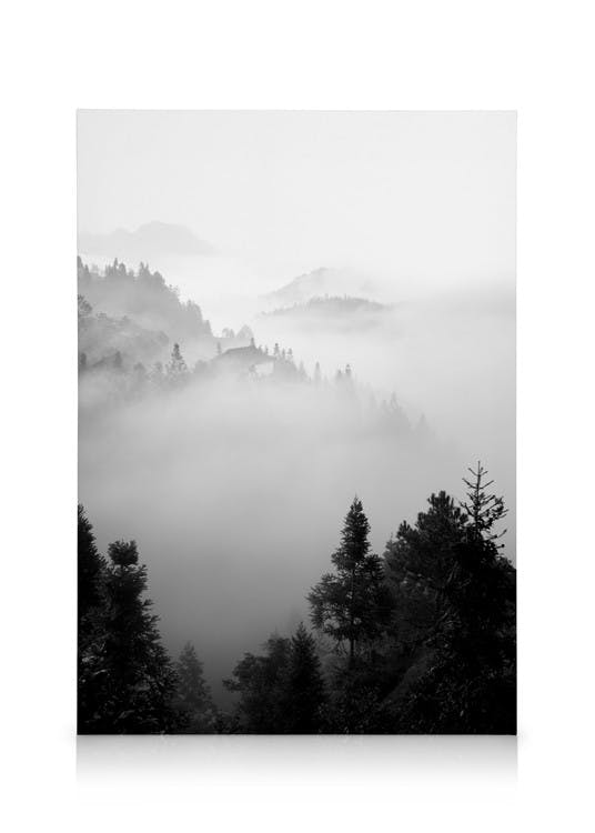 Canvastavlor The Morning Mist Canvastavla (50x70 cm)