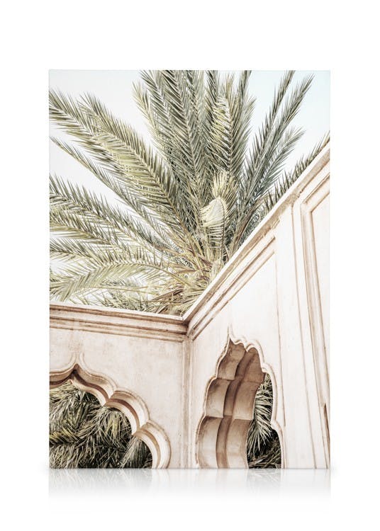 Palm Curves Tableau sur toile (50x70 cm) - Plantes vertes