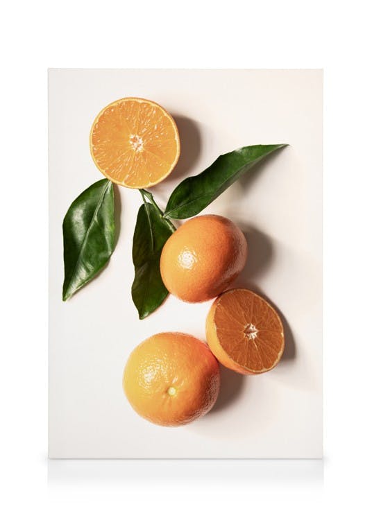 Garden Oranges Obraz na plátne (30x40 cm)
