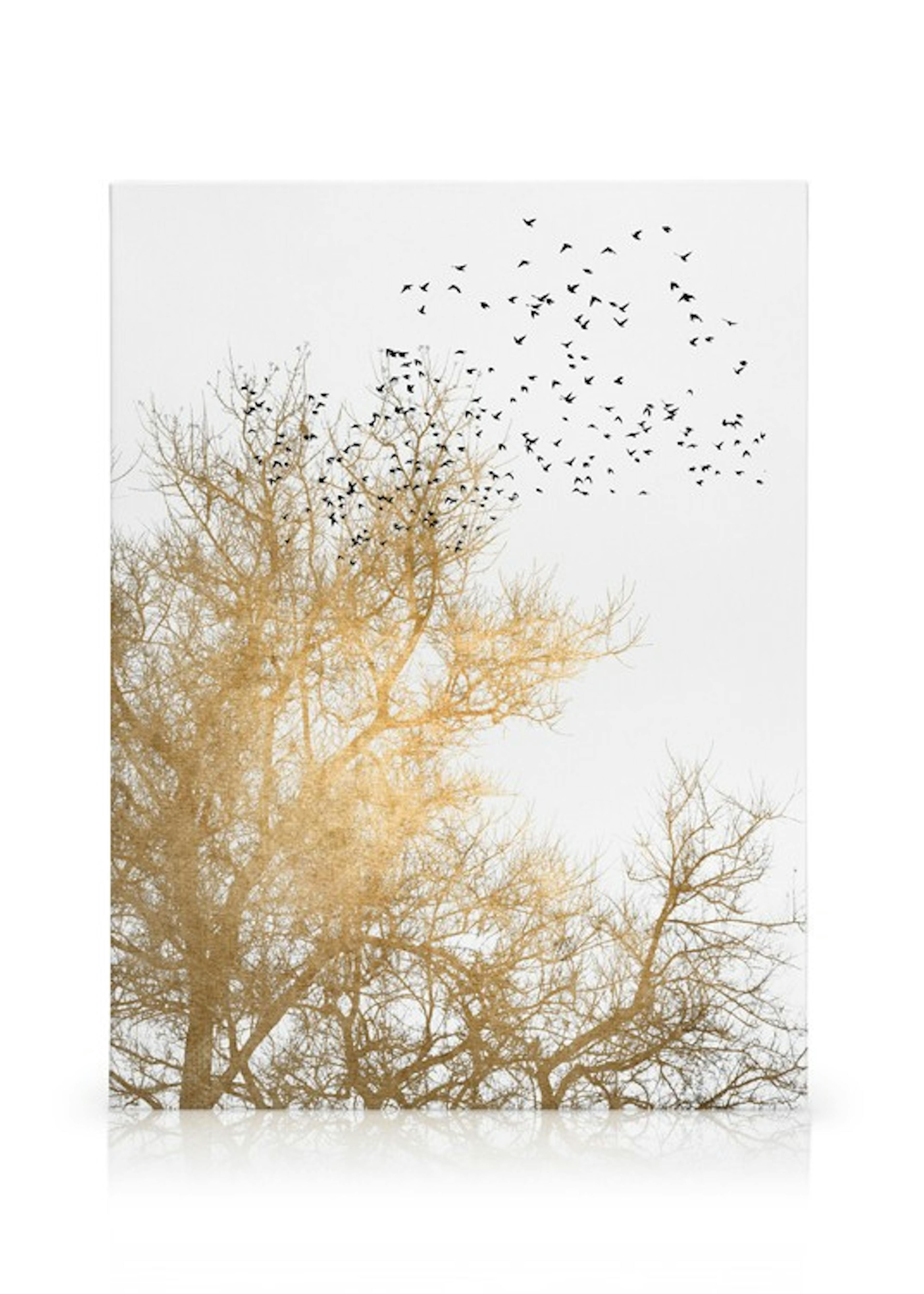 Product image: 1