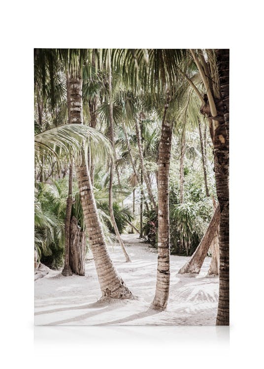 Obrazy na płótnie Between the Palms Obraz na płótnie (50x70 cm - Ramka dębowa)