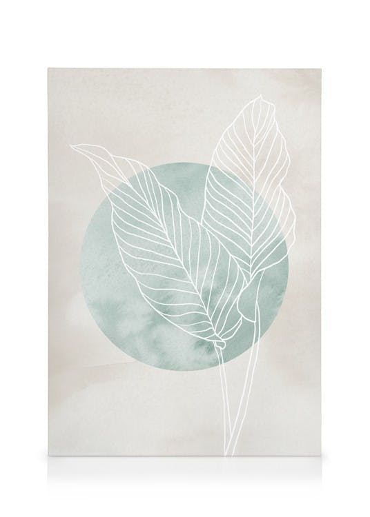 Canvas Prints Calathea Line Drawing Canvas print (30x40 cm - Oak Frame)