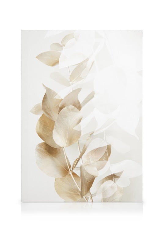 Canvas Prints Golden Eucalyptus No2 Canvas print (30x40 cm)