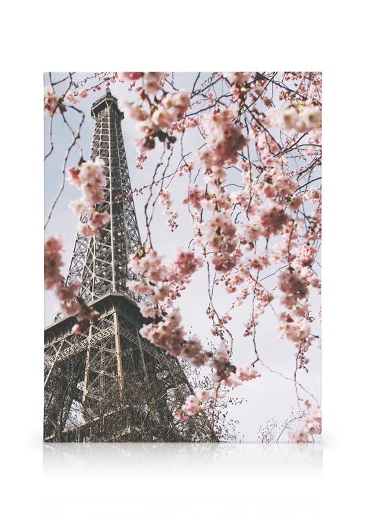 Canvastavlor Blooming Paris Canvas (30x40 cm)