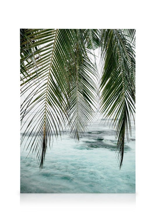Ocean Palm Canvas (30x40 cm)