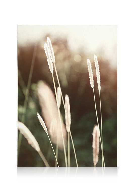 Canvas Prints Evening Summer Field Canvas print (30x40 cm - Oak Frame)