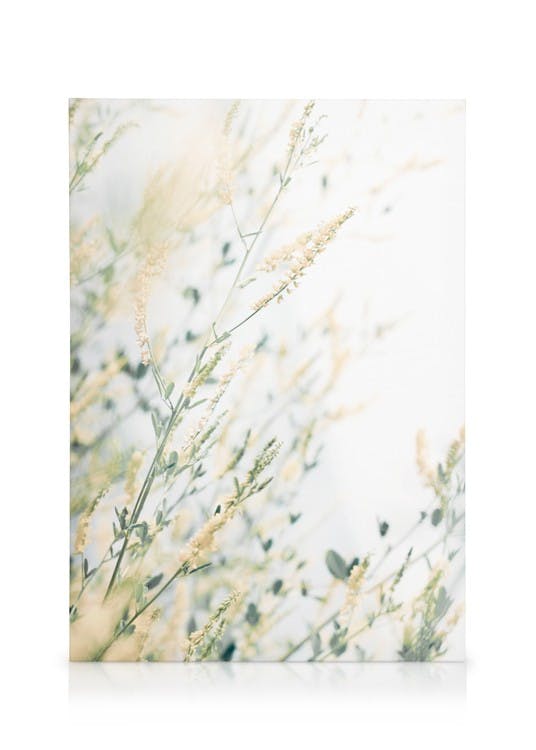 Canvas Prints Light Floral Canvas print (30x40 cm)