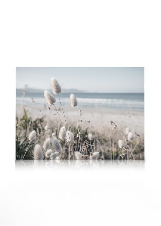 Canvastavlor Beach Dune Grass Canvastavla (50x70 cm - Svart ram)