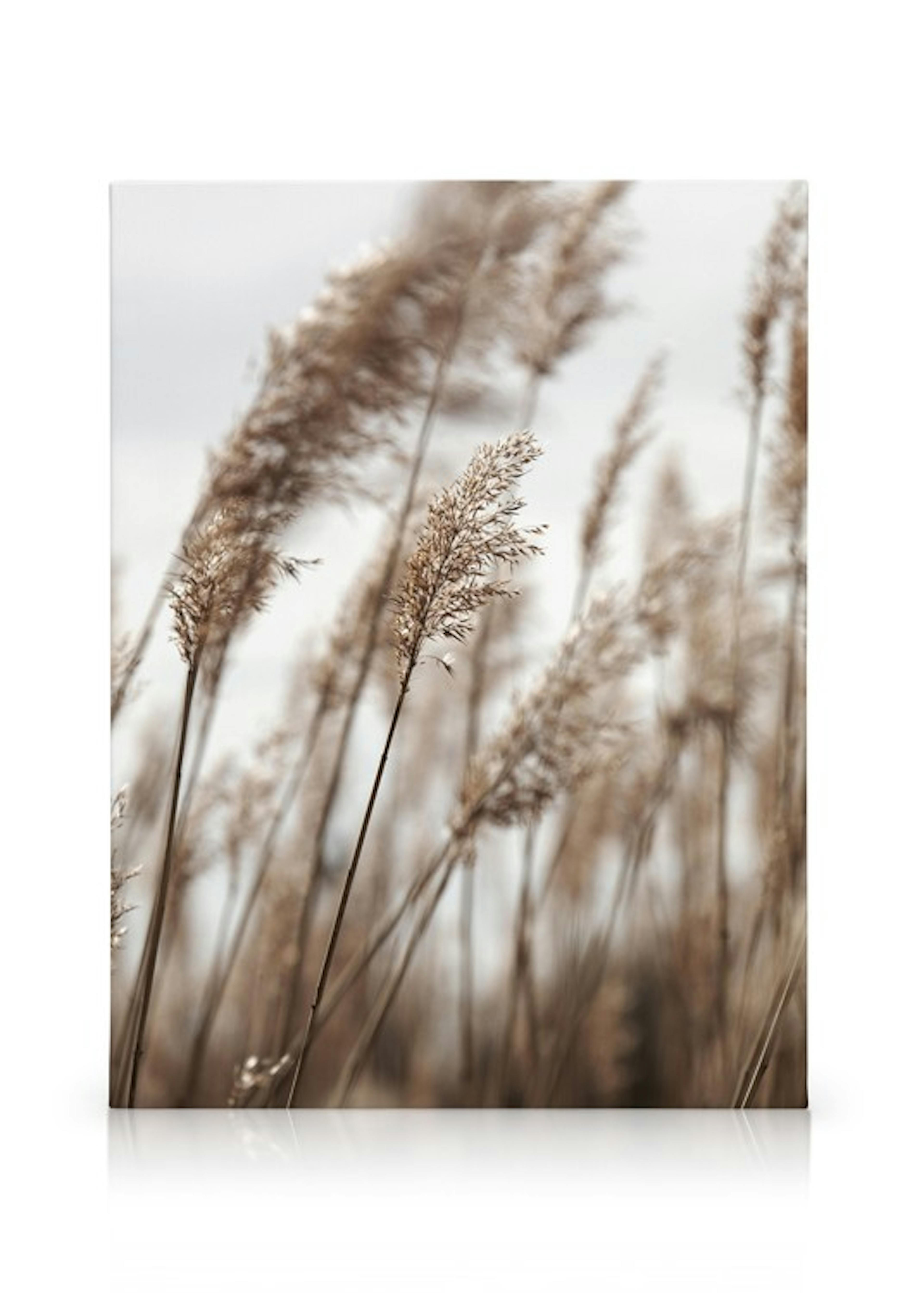 Product image: 1