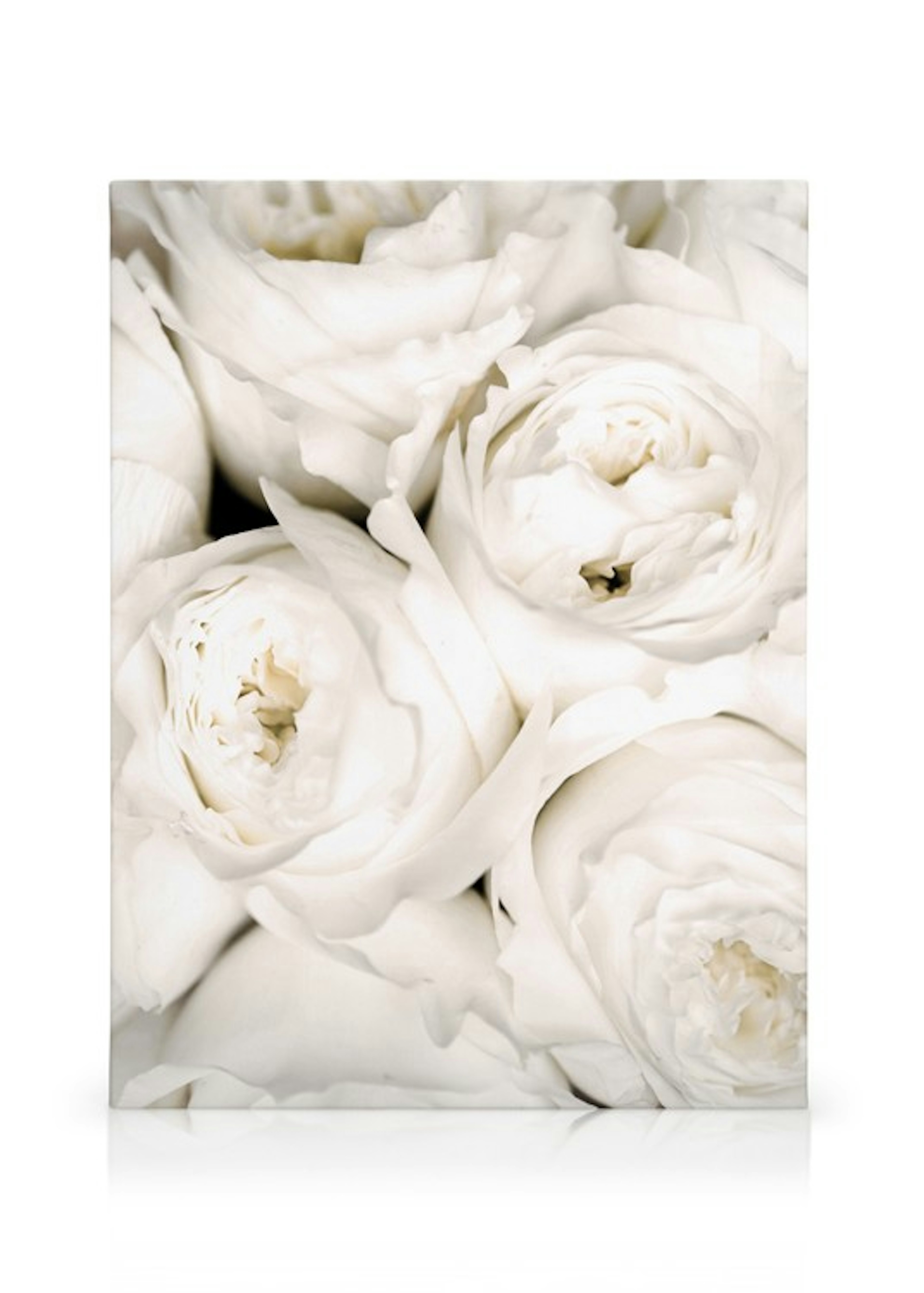 Product image: 1