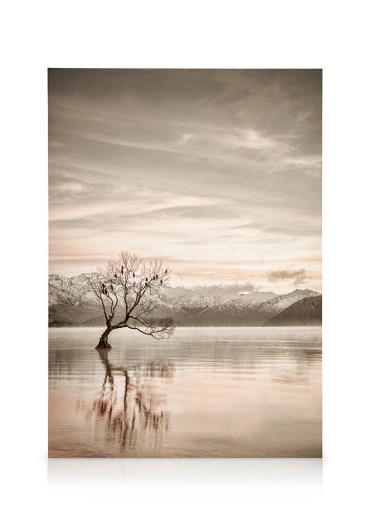Canvas Prints Lake Wanaka Otago Canvas print (30x40 cm)