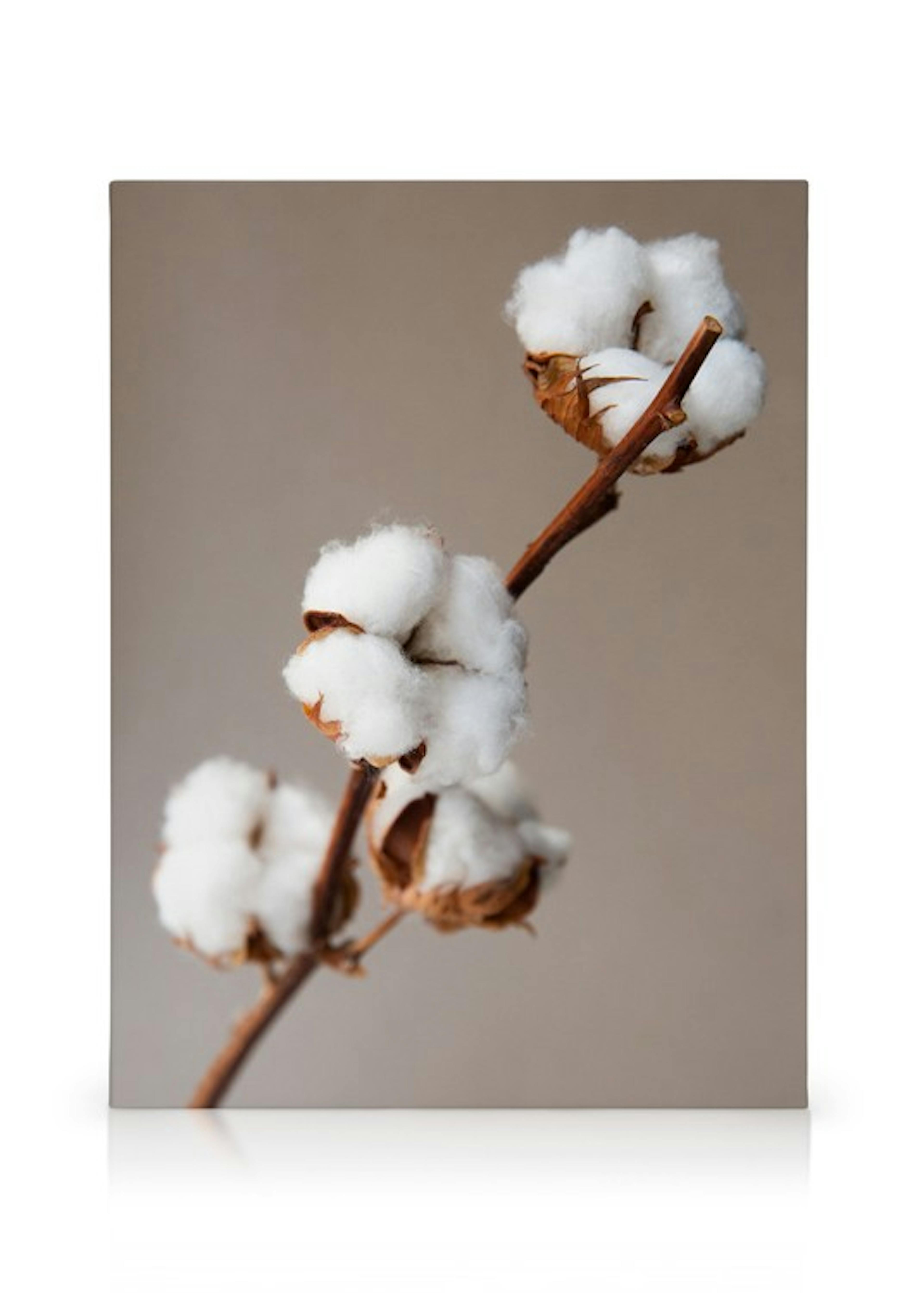 Product image: 1