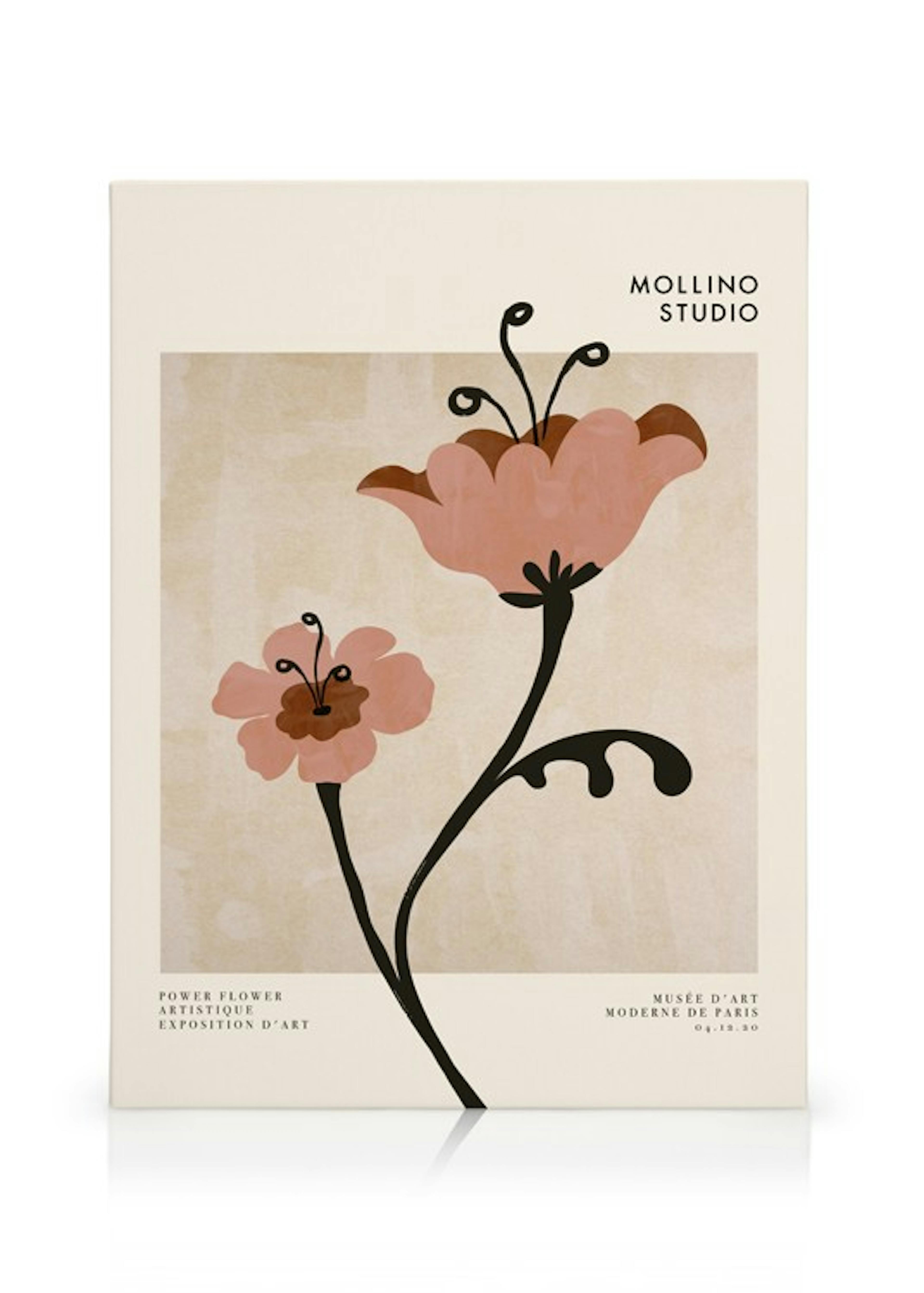 Product image: 1