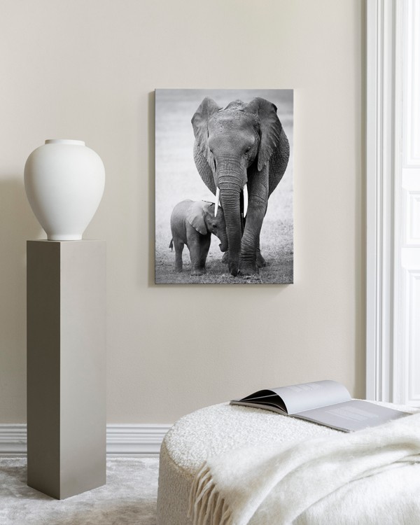 Elephant Love Leinwand - Zwei Elefanten