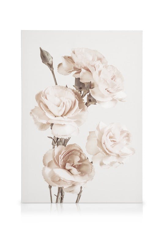 The Beauty Of Flowers Tableau sur toile (30x40 cm)  Fleurs