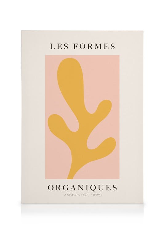Les Formes Organiques Obraz na plátne (50x70 cm)